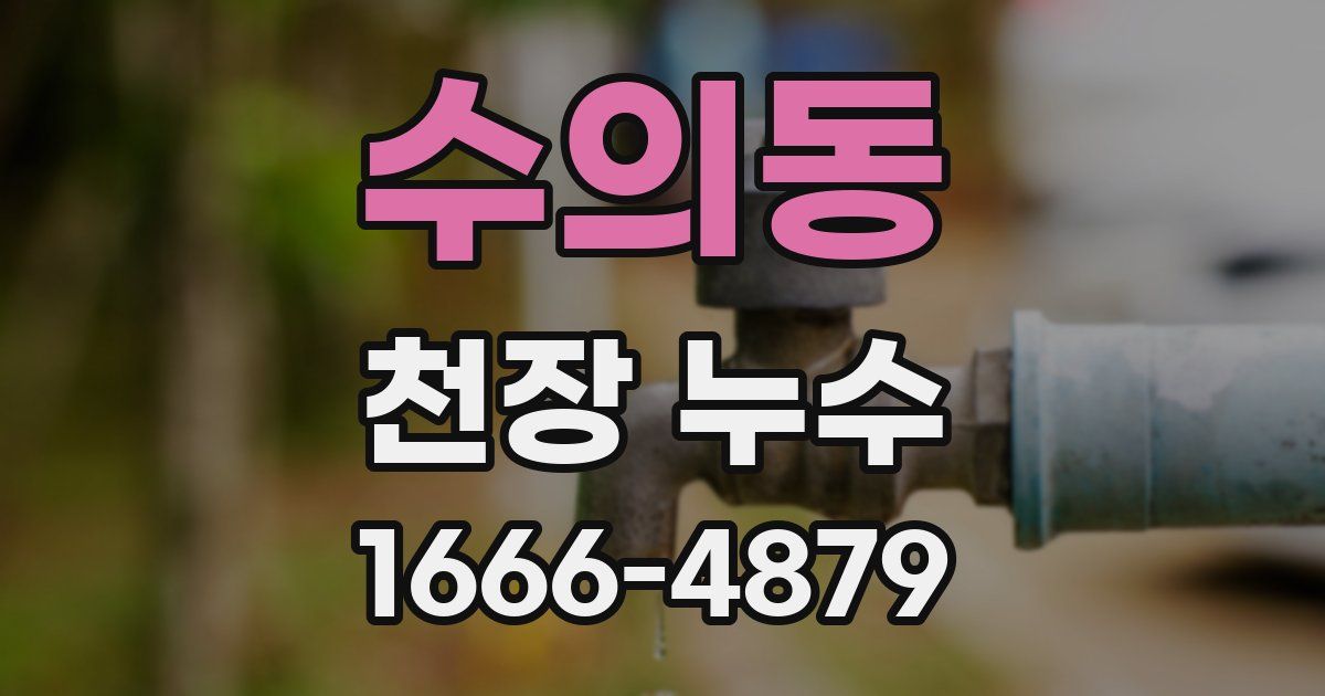 수의동 천장 누수
