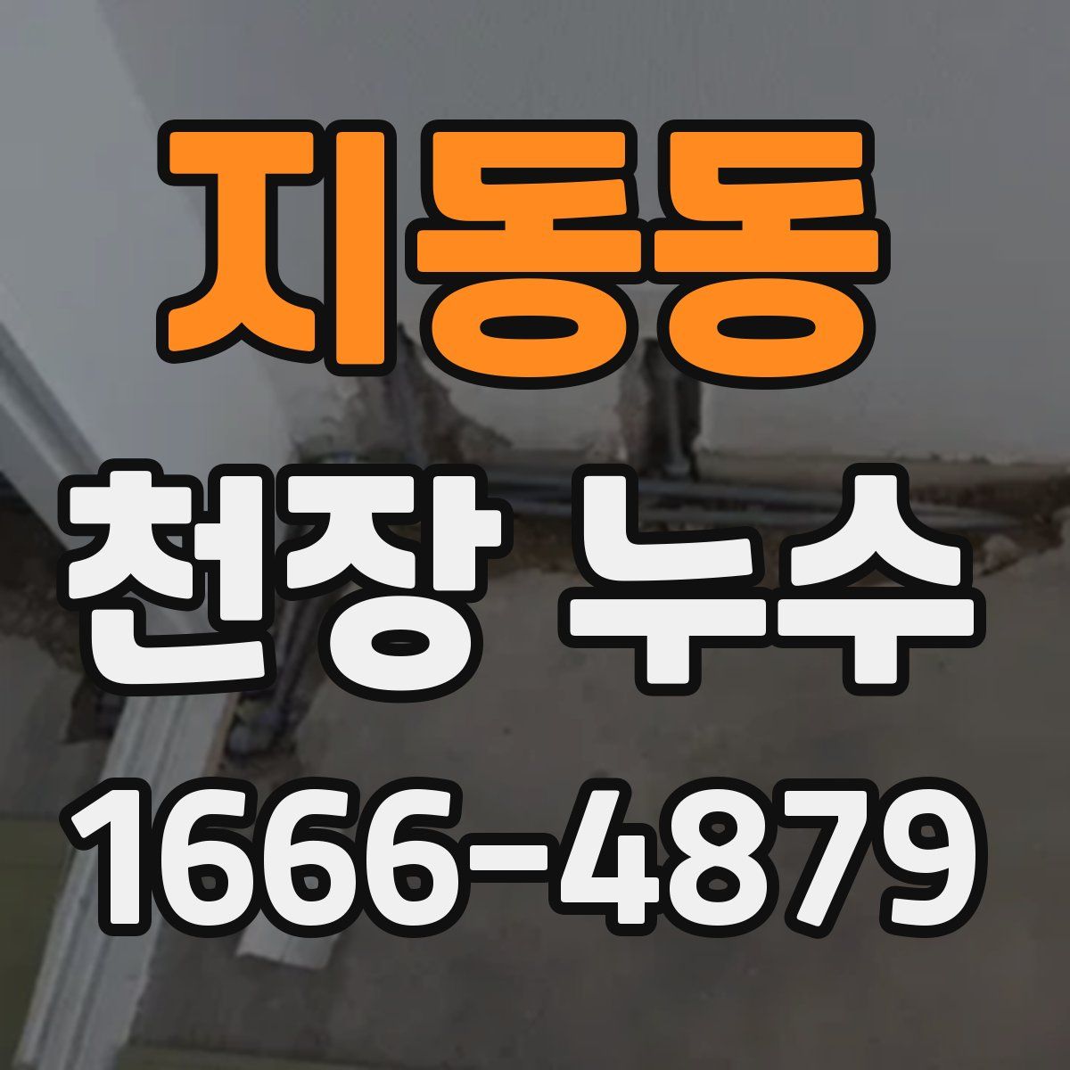 지동동 천장 누수