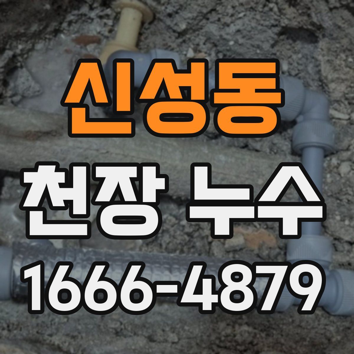 신성동 천장 누수