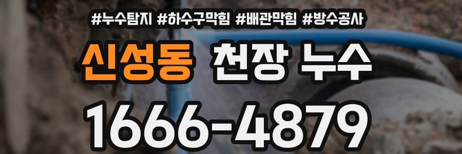 신성동 천장 누수