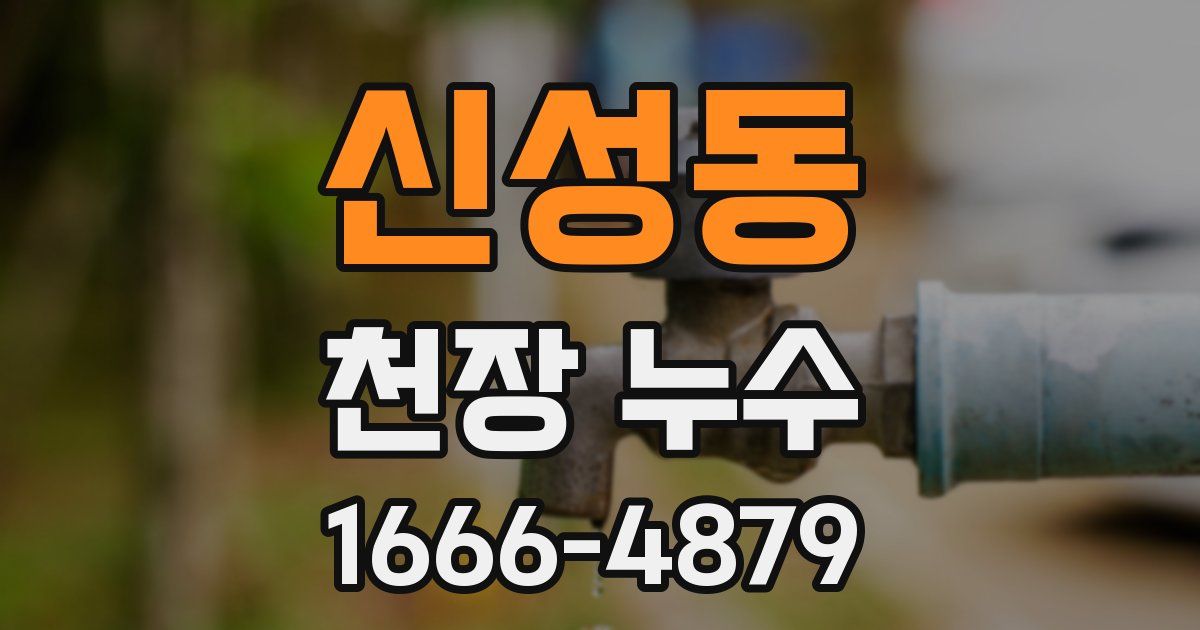 신성동 천장 누수