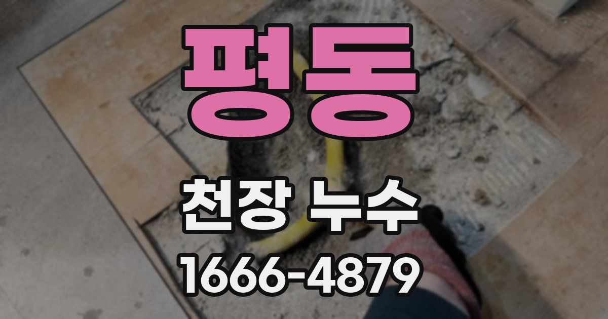 평동 천장 누수