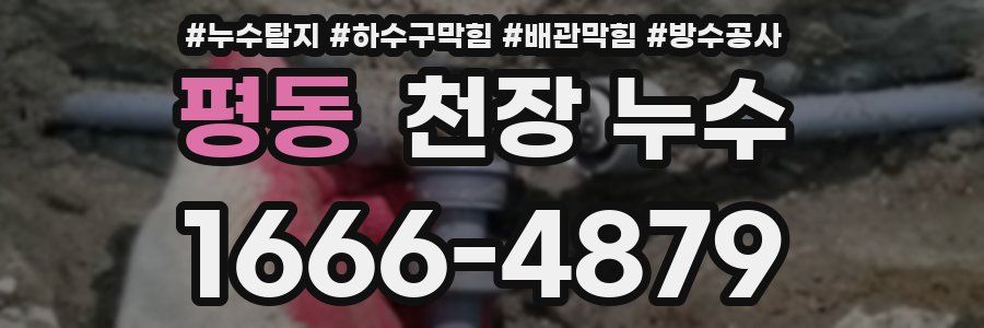 평동 천장 누수