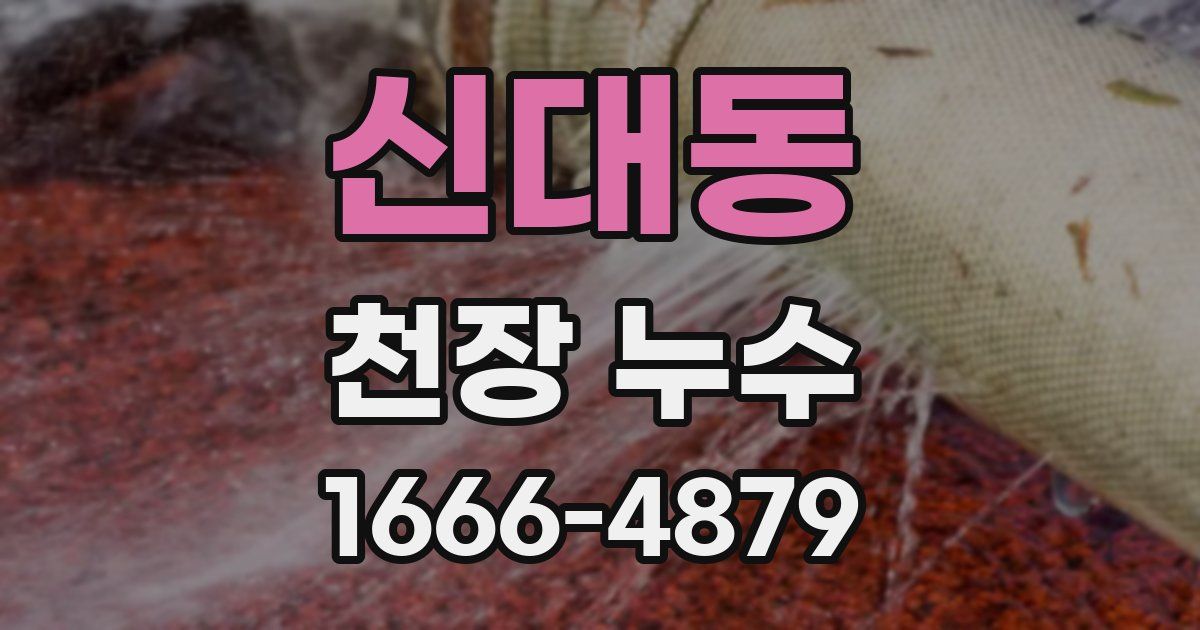 신대동 천장 누수