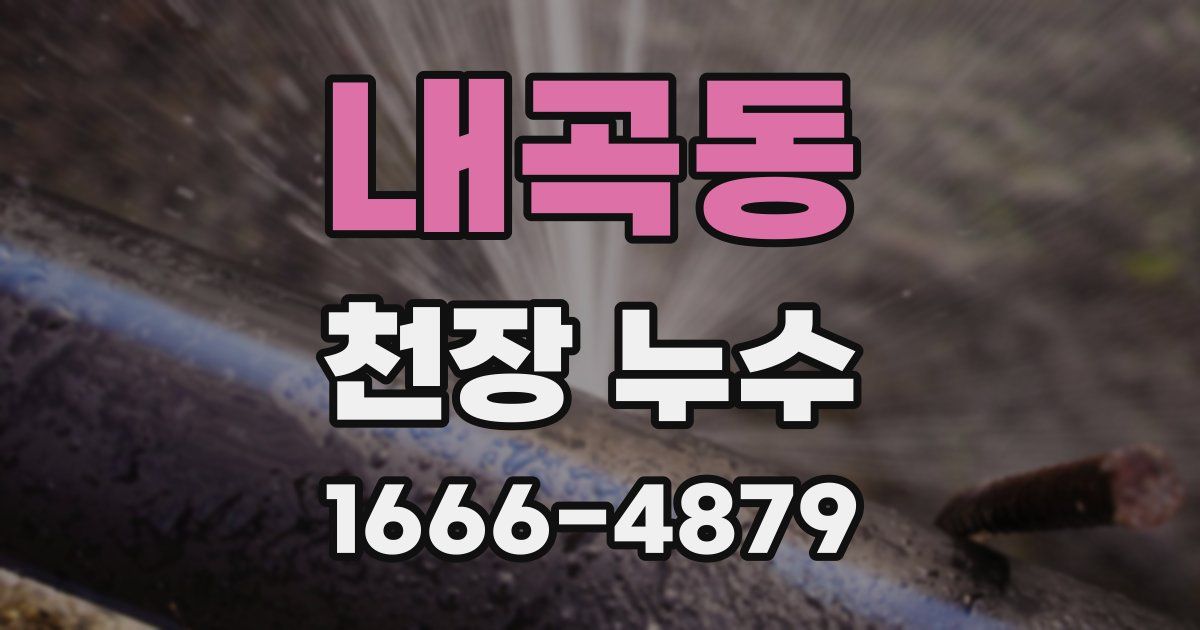 내곡동 천장 누수