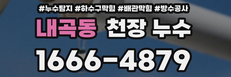 내곡동 천장 누수