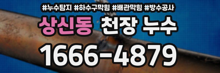 상신동 천장 누수