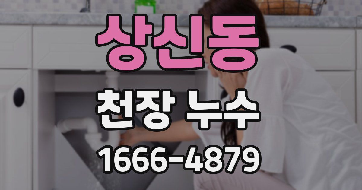 상신동 천장 누수