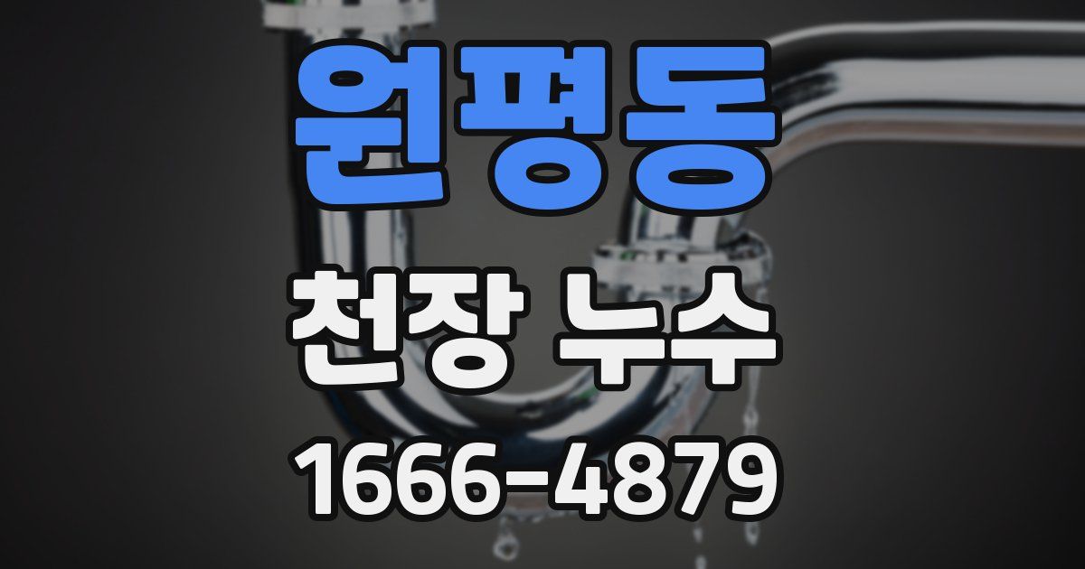 원평동 천장 누수