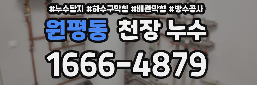 원평동 천장 누수