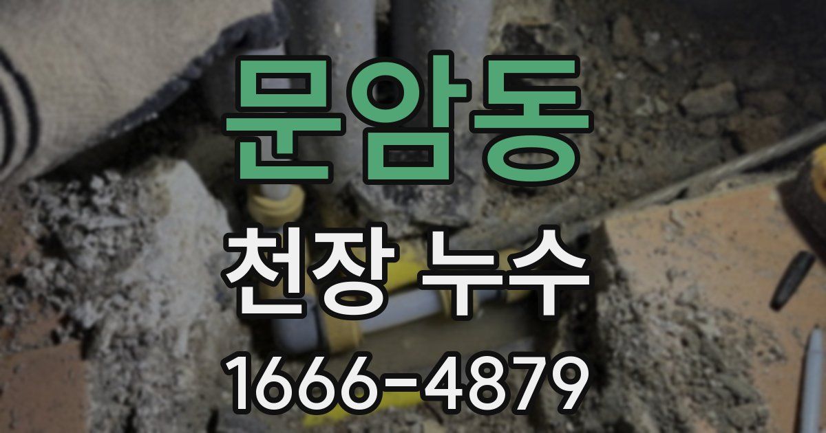 문암동 천장 누수