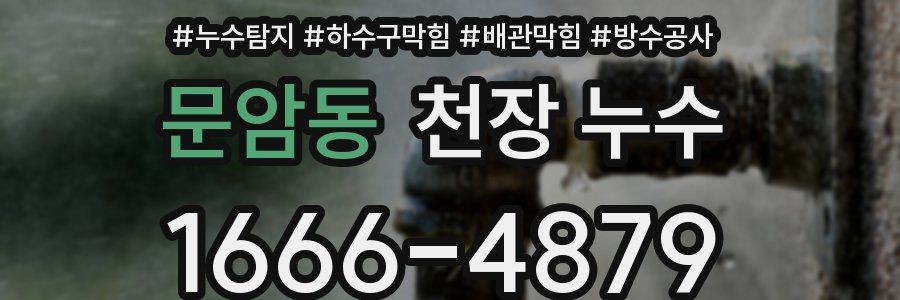 문암동 천장 누수