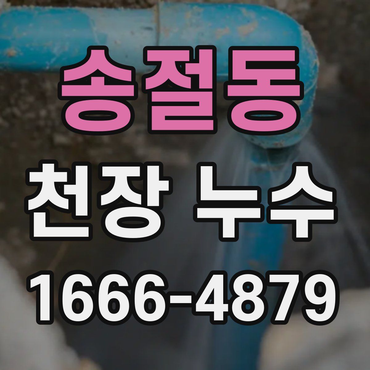 송절동 천장 누수