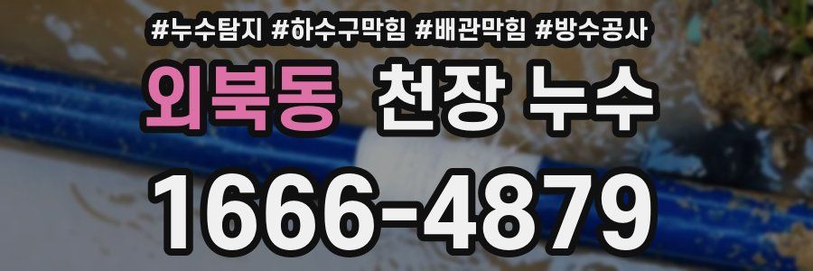 외북동 천장 누수