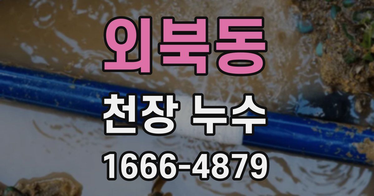 외북동 천장 누수