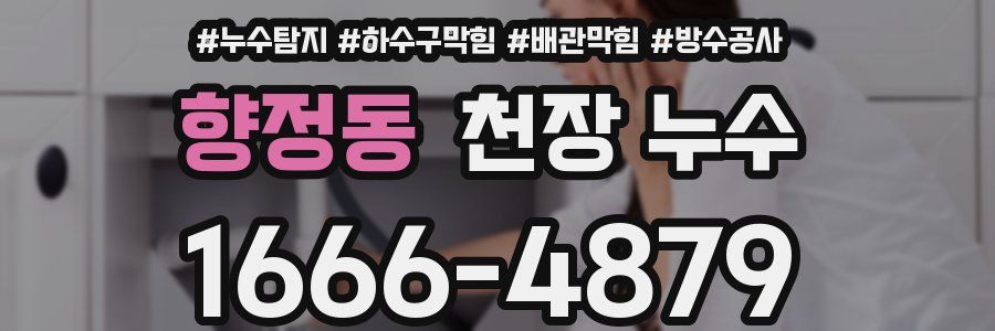 향정동 천장 누수