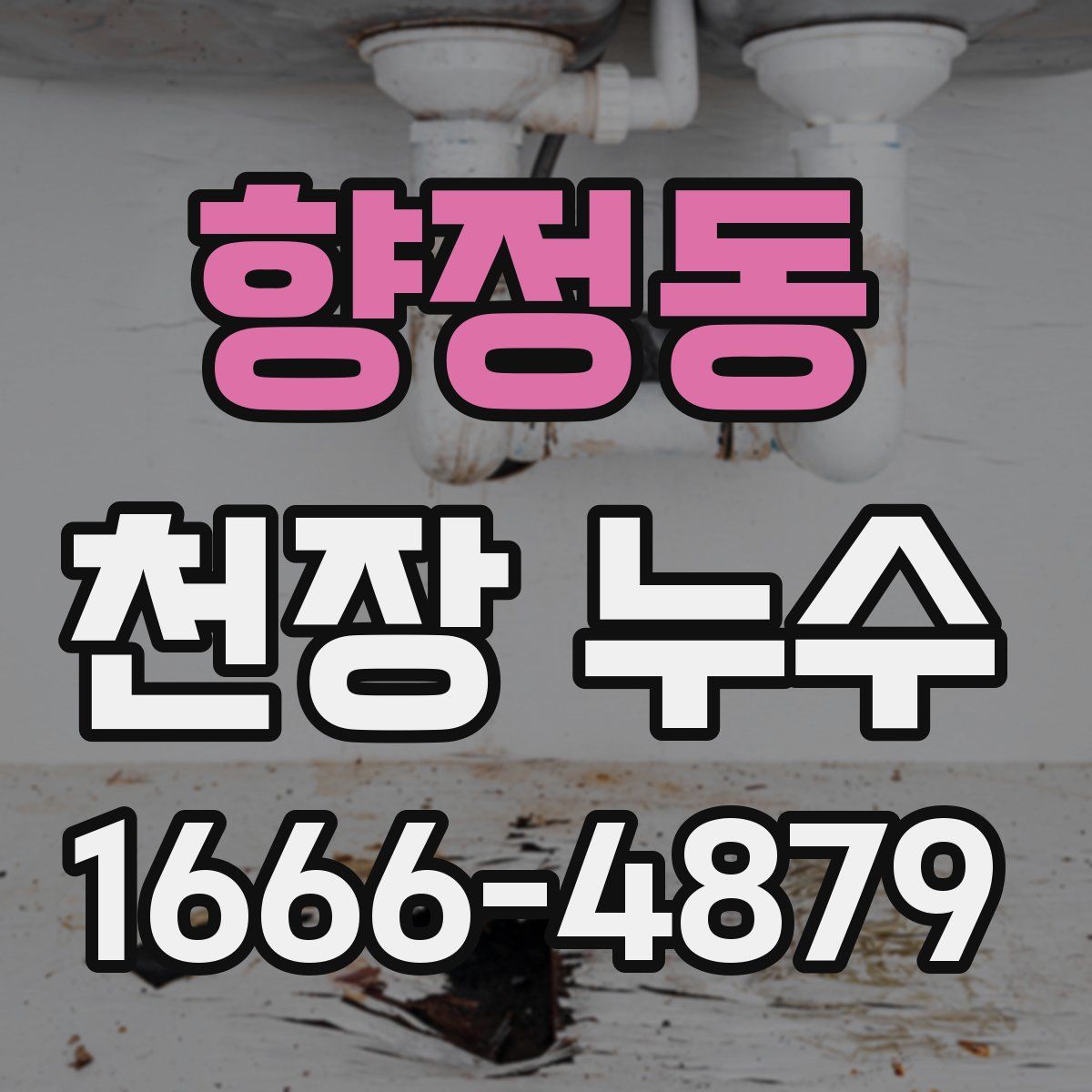 향정동 천장 누수