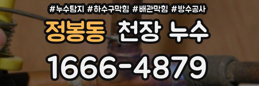 정봉동 천장 누수