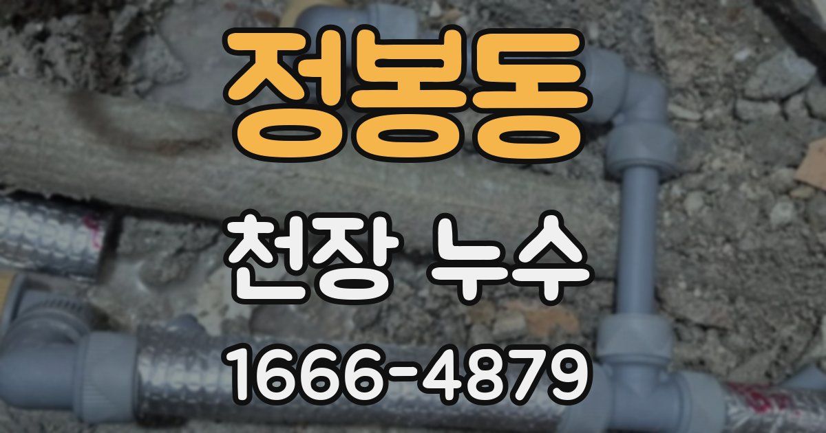 정봉동 천장 누수