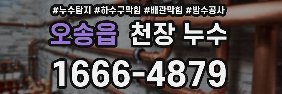 오송읍 천장 누수