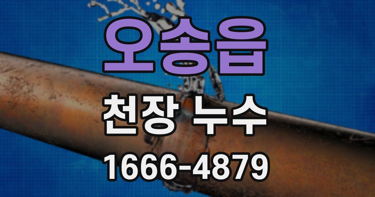 오송읍 천장 누수