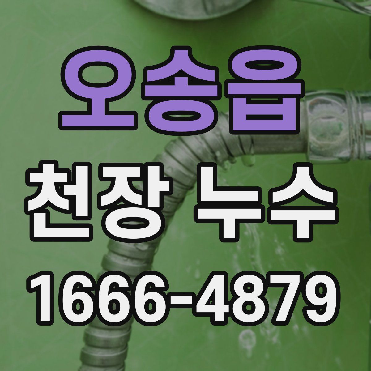 오송읍 천장 누수