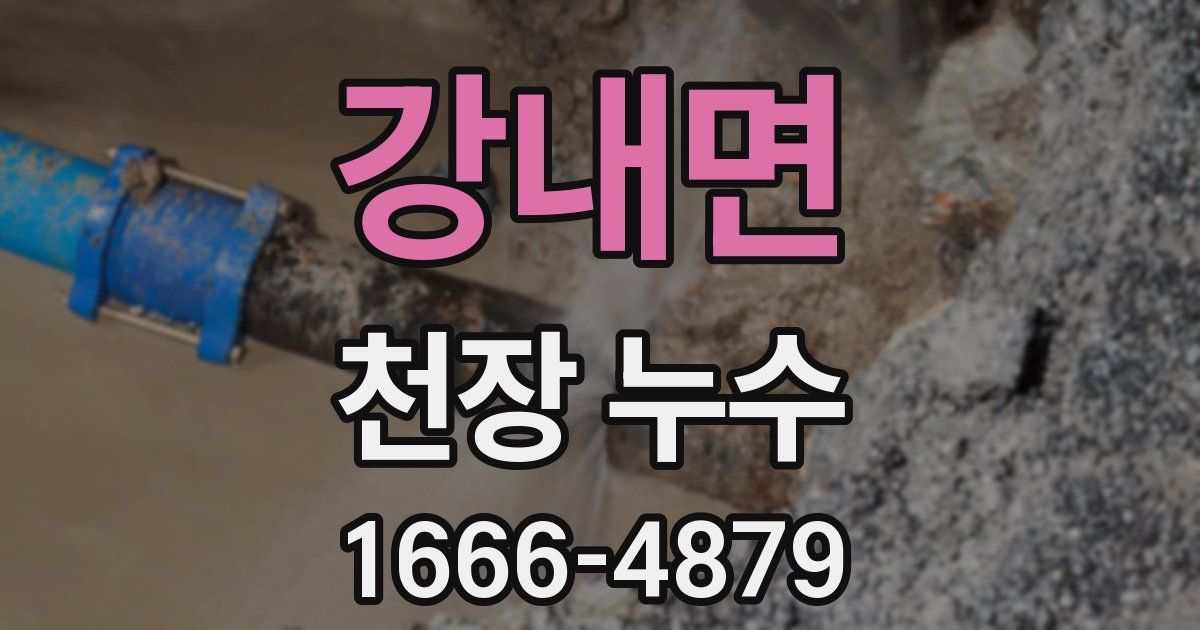 강내면 천장 누수