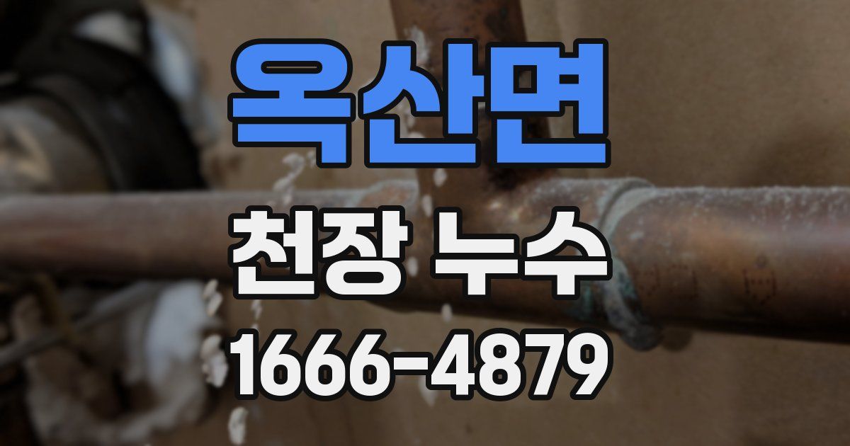 옥산면 천장 누수