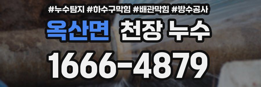 옥산면 천장 누수
