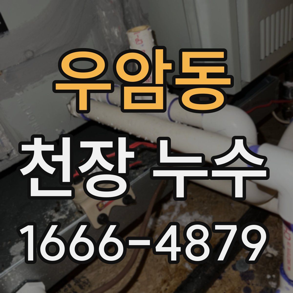 우암동 천장 누수