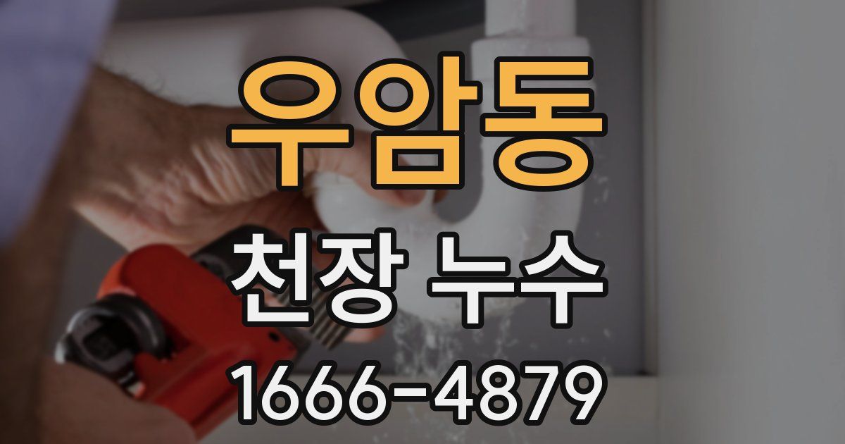 우암동 천장 누수