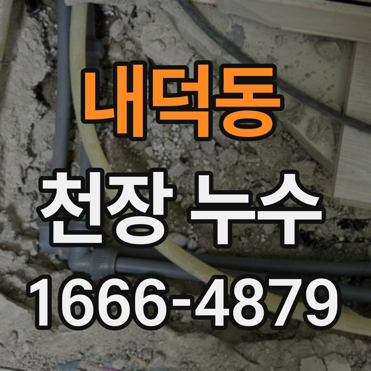 내덕동 천장 누수