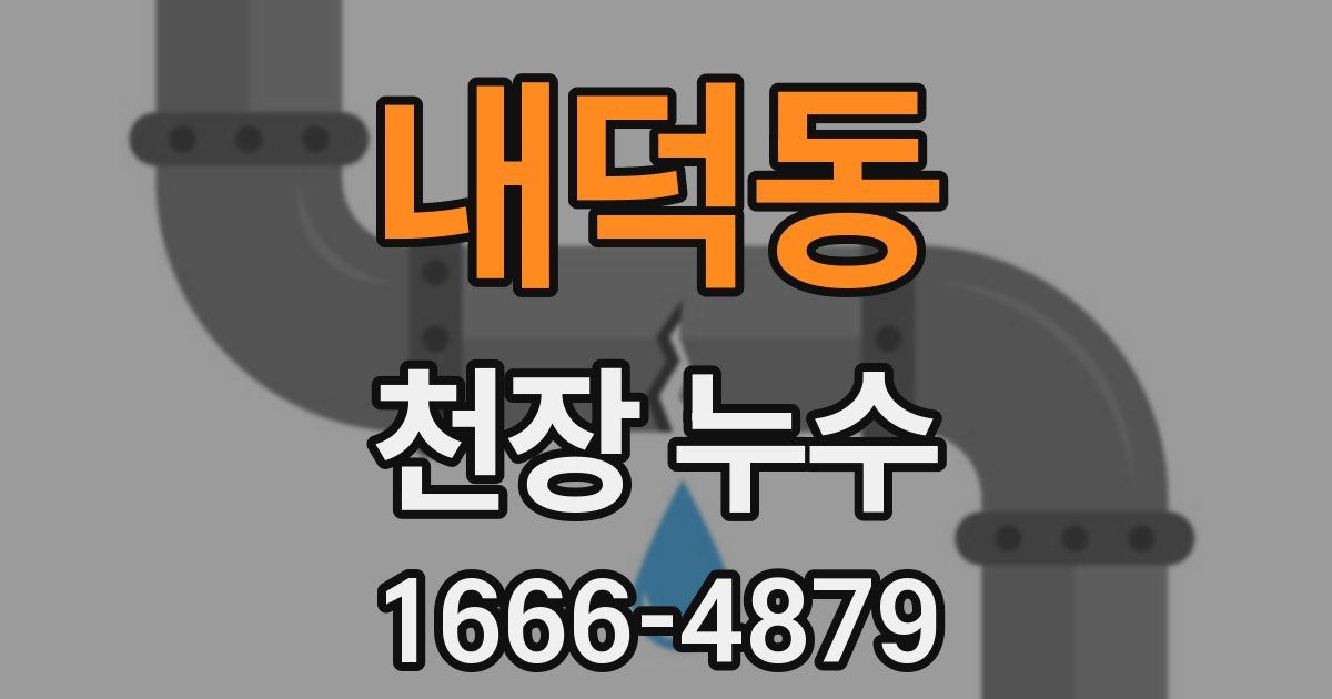 내덕동 천장 누수