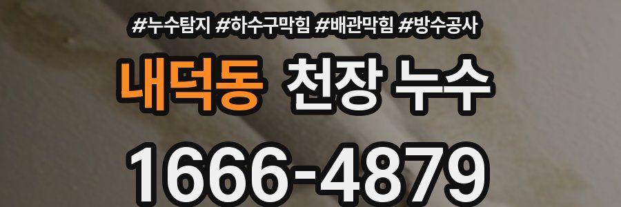 내덕동 천장 누수