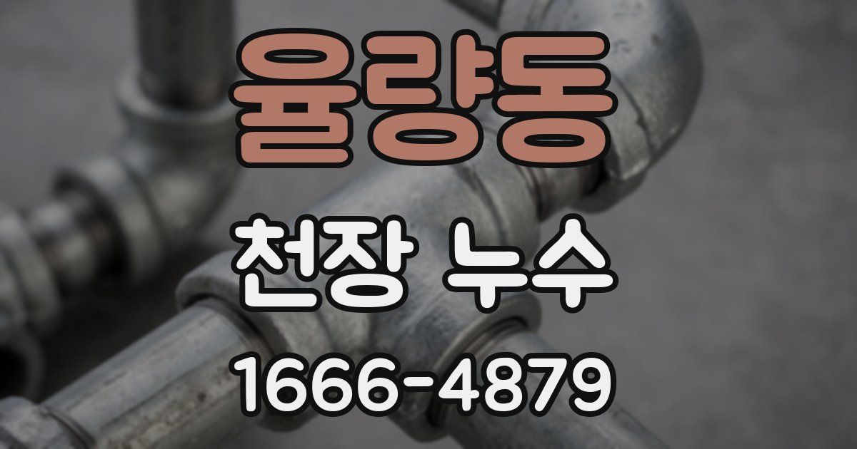 율량동 천장 누수