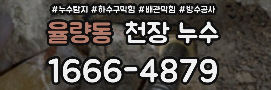 율량동 천장 누수