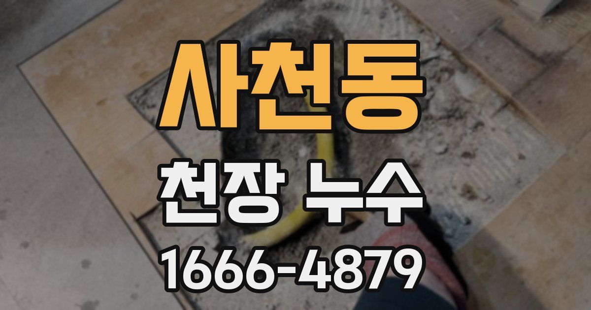 사천동 천장 누수