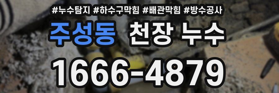 주성동 천장 누수