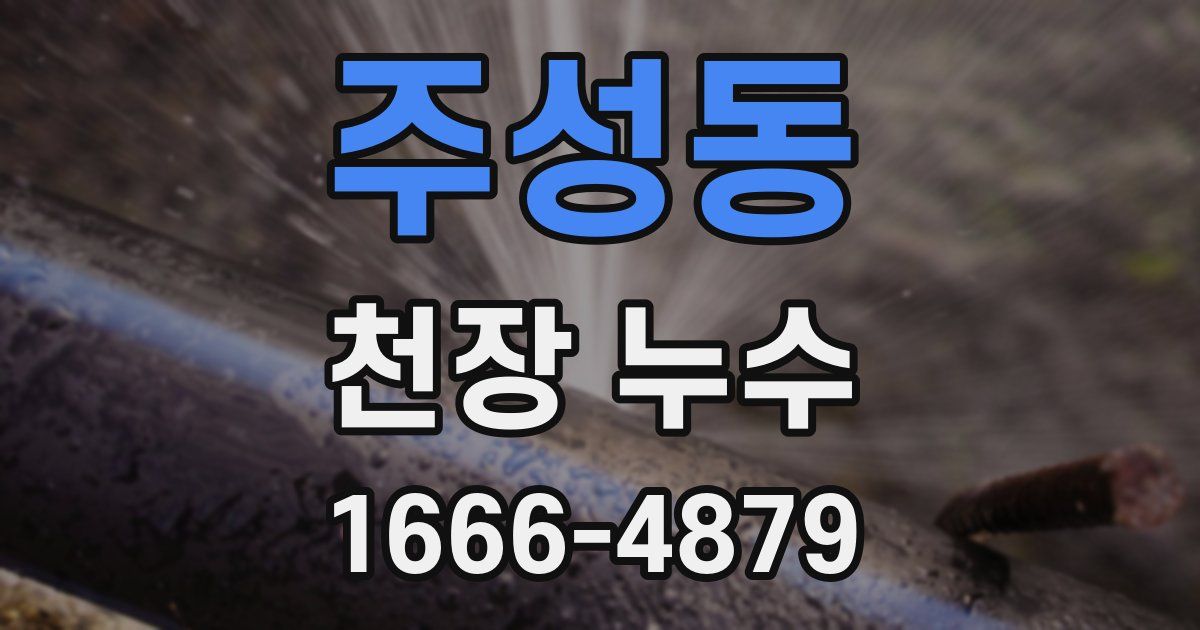 주성동 천장 누수