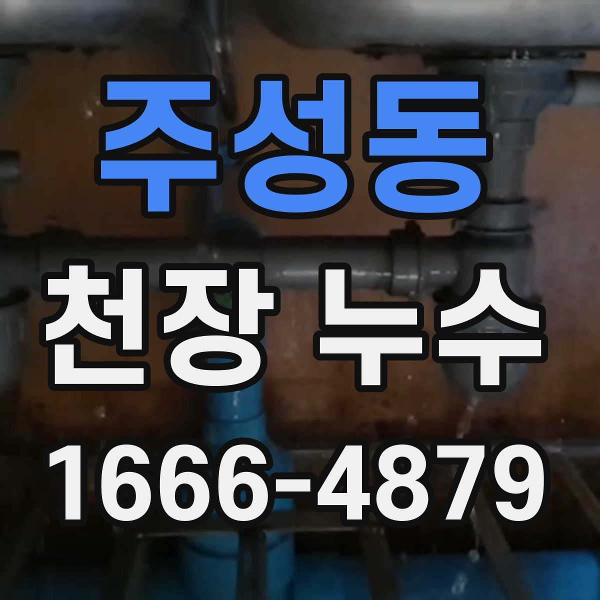 주성동 천장 누수