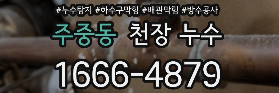주중동 천장 누수