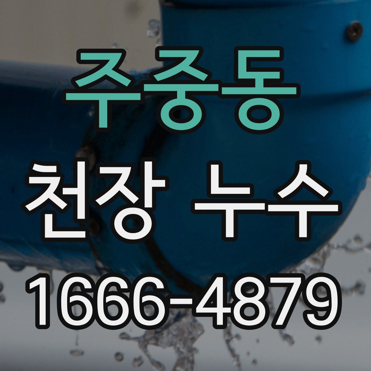 주중동 천장 누수