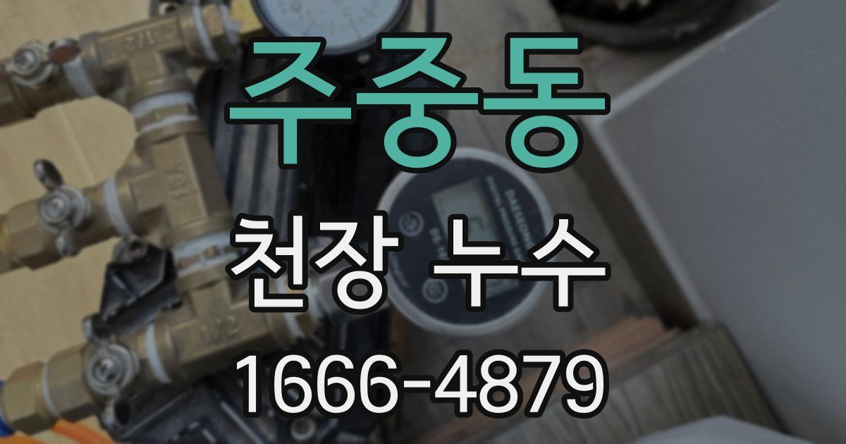 주중동 천장 누수