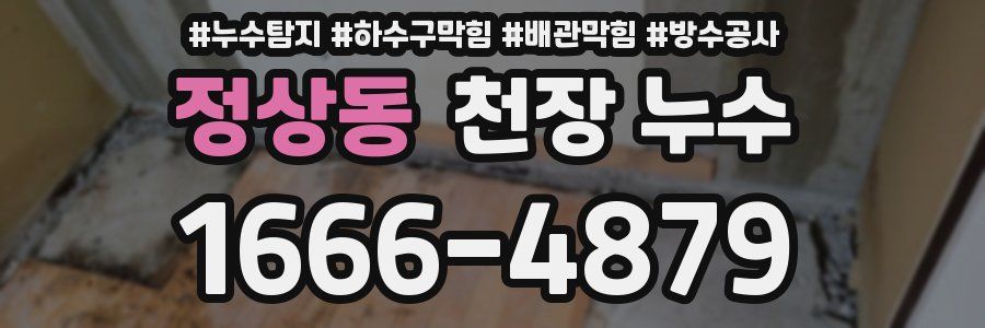 정상동 천장 누수
