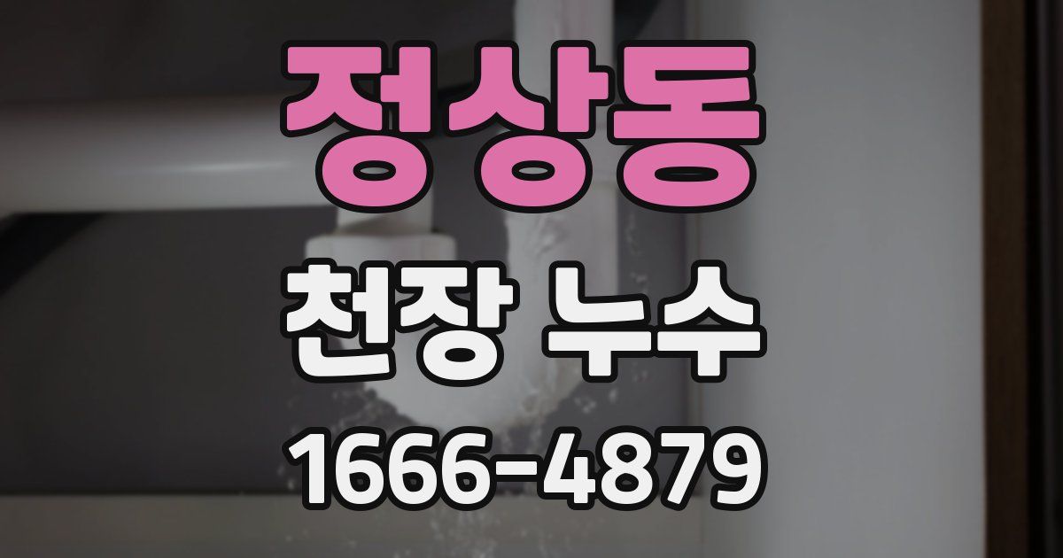 정상동 천장 누수