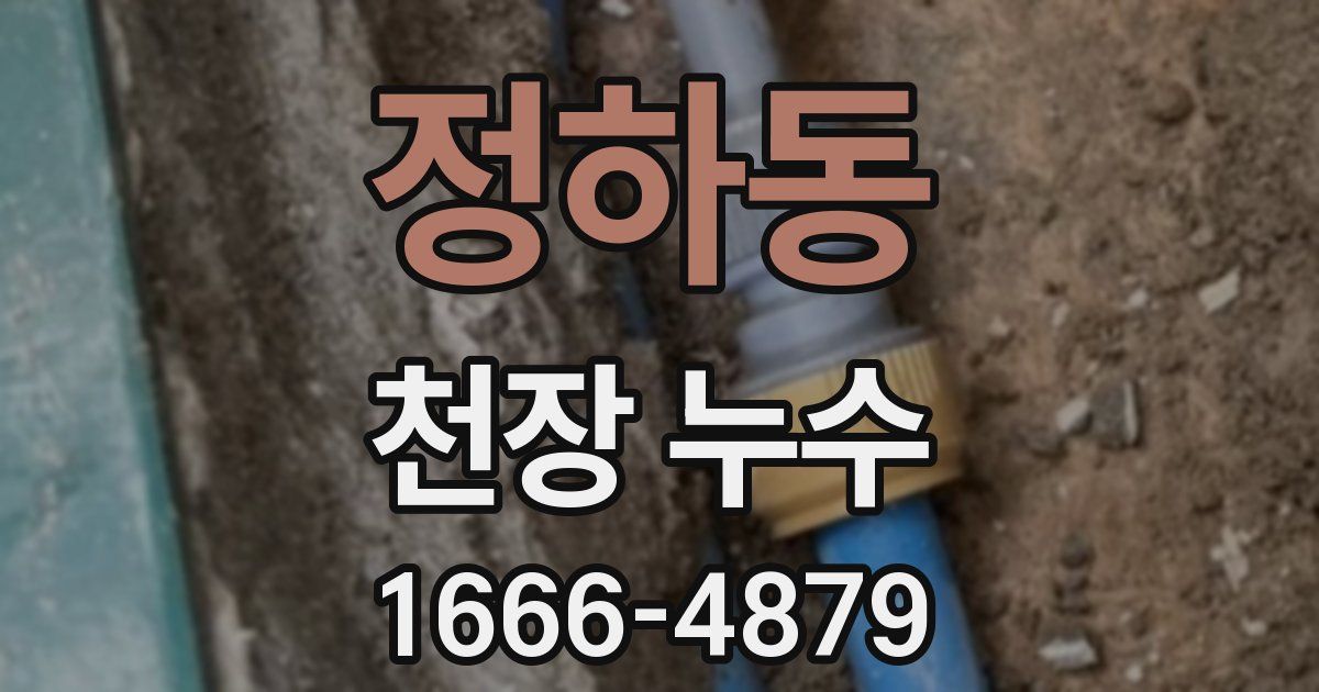 정하동 천장 누수