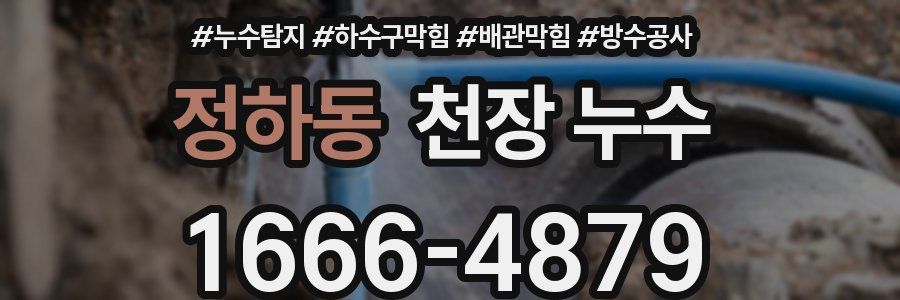 정하동 천장 누수