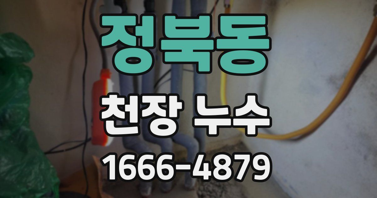 정북동 천장 누수