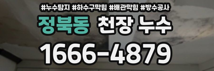 정북동 천장 누수