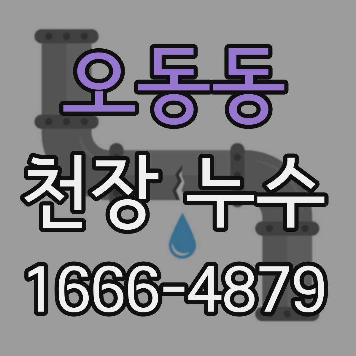 오동동 천장 누수